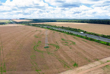 corn harvest in Goiania, Goias, Brazil