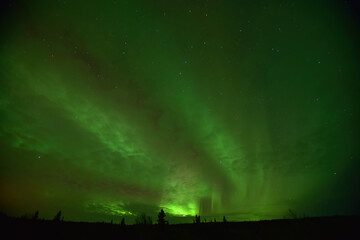 Fototapeta na wymiar The aurora borealis, or northern lights, tint the night sky green over Interior Alaska.