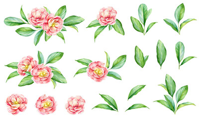 Floral collection with watercolor green leaves and red flowers