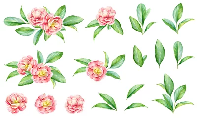 Fototapeten Floral collection with watercolor green leaves and red flowers © Lyubov Tolstova