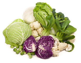 Mix of cabbages on white background: white cabbage, red cabbage, Savoy cabbage, Roman cabbage and Brussels sprouts.
