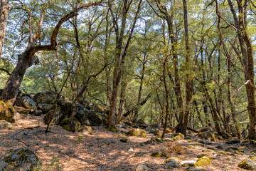 Yosemite-Nationalpark