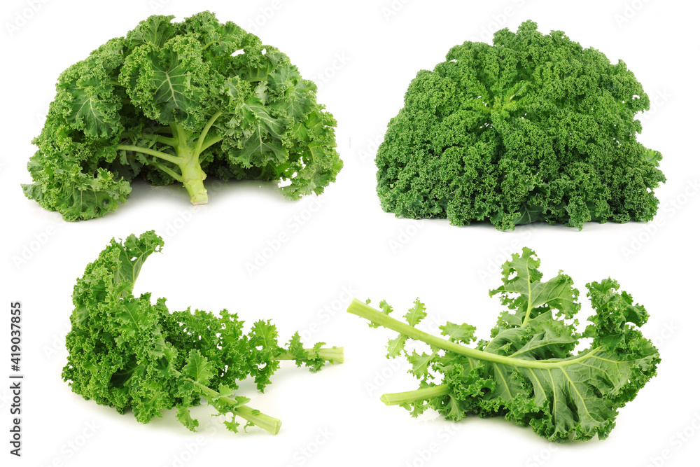 Wall mural freshly harvested  kale cabbage on a white background