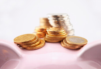 Coins and piggy bank