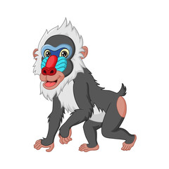 Cute mandrill baboon cartoon isolated on white background
