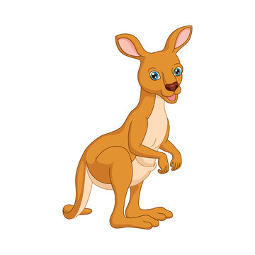 Cute kangaroo cartoon isolated on white background