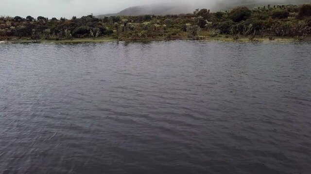 landscape in the paramos of sumapaz with lake and Espeletia