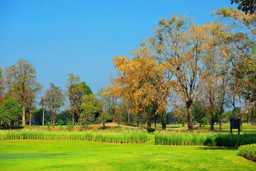 Fototapeta na wymiar Landscape of a golf field with greenery trees under blue sky 1