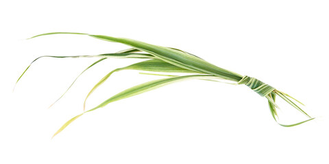 knot, pigtail and bow from green grass with white streaks isolated on white background