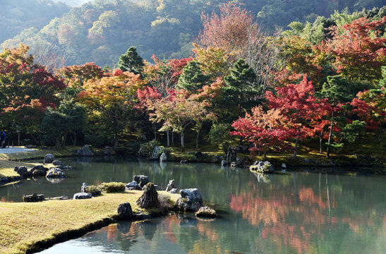 84 Best 曹源池庭園 Images Stock Photos Vectors Adobe Stock 84 Best 曹源池庭園 Images Stock Photos Vectors Adobe Stock