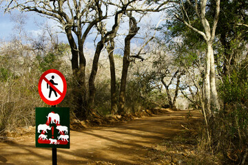 Road with warning signs, Hluhluwe Game Reserve, Kwazulu-Natal, South Africa