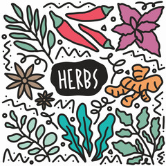 Naklejka premium doodle various herbs collection hand drawing