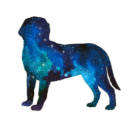 Animal silhouette with night sky. Stars. Dog constellation. Canis Major.