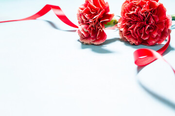 赤いカーネーションの花　母の日の背景素材