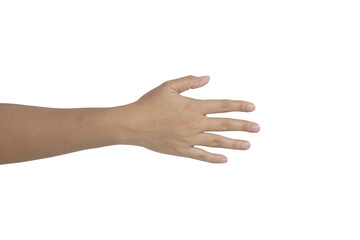 Female hand isolated on white background with clipping path