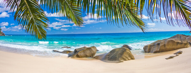Fototapeta na wymiar Plage paradisiaque des îles Seychelles sous les cocotiers 