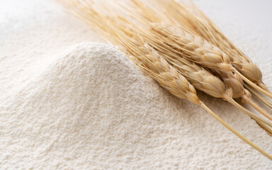 Close-up of a pile of flour and ears of wheat being sifted.