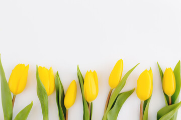 Flat lay with yellow tulip flowers on white background. Greeting card concept