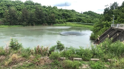 Fototapeta premium 湖面上的漩渦