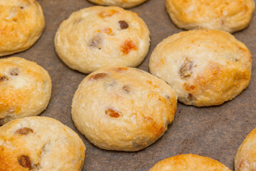 Close-up of cottage cheese pancakes on baking paper on a pan, just taken out of the oven. 