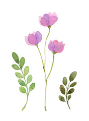 シンプルな花の水彩イラスト