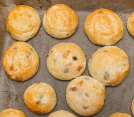 Close-up of cottage cheese pancakes on baking paper on a pan, just taken out of the oven. 