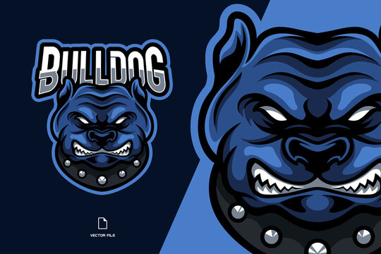 blue bulldog mascot logo illustration cartoon character