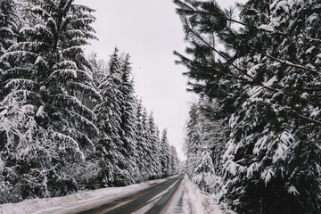 Obraz premium Cold Winter Road In The Forest In Belarus. Trip By Car.