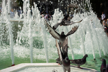 Fototapety na wymiar - Fototapeta24.pl