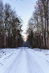 Obraz premium white winter road between trees in the evening