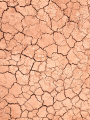 dry cracked earth