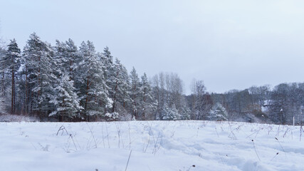 Obraz premium landscape in winter