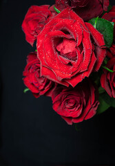 A bouquet of red roses, on a dark background. Close-up of dew drops on petals. Close-up In the concept of congratulations on the holiday, anniversary, birthday there is a place for the text