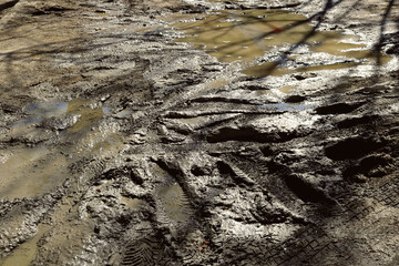 muddy water puddle on the street with uneven mud texture with wheel tracks from cars- dirty yellow and brown ground