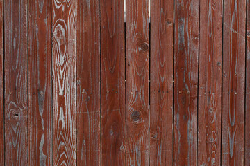 Old wooden natural texture with greenery for printing backdrops