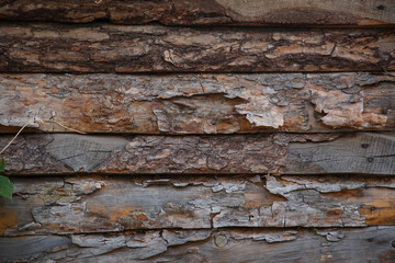 Old wooden natural texture with greenery for printing backdrops