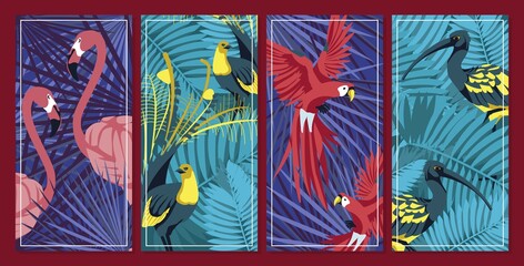 Collection of cards with exotic birds. Beautiful jungle background with colorful bright parrot, flamingo, crane birds and palm leaves. Postcards, invitation, banner design flat vector illustration
