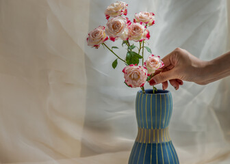 Hands of a young woman with Blue handmade ceramic vase and Bouquet of flower on Blush textured...