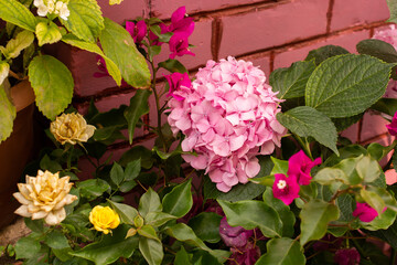 Fototapety na wymiar - Fototapeta24.pl