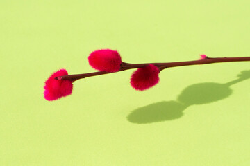 a painted willow branch on a green background. Spring concept