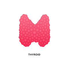 Human organ collection. Vector flat modern anatomical icon color illustration. Red thyroid gland isolated on white background. Health care medical sign. Design element for endocrinology.