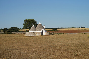 Trulli (trullo) whitewashed stone hut with conical roofs on countryside field, famous in Apulia...