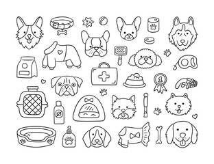 Set of heads of different breeds dogs and canine accessories. Collar, leash, muzzle, carrier, food, clothing. Doggy faces. Hand drawn isolated vector illustration in doodle style on white background