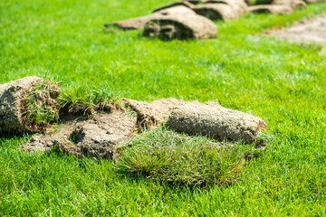 Cut out lawn fragment prepared for a lawn repair in the summer garden. spring gardening.