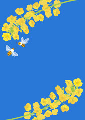 Canola flowers and honeybee background