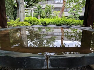 garden with water