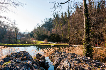 Arlesheim, Ermitage, See, Schilf, Wanderweg, Wald, Frühling, Winter, Abendsonne, Abendstimmung,...
