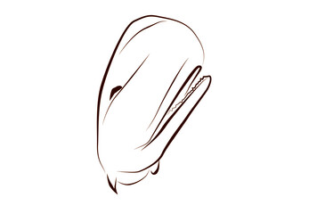 クジラの線画イラスト