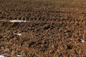 plowed field after harvest