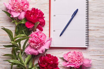 Morning coffee mug for breakfast, empty notebook, pencil and pink peony flowers on white stone table top view in flat lay style.